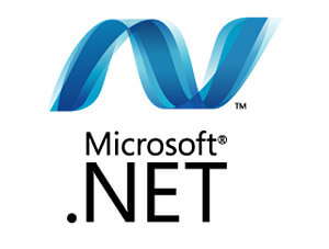 .NET Framework